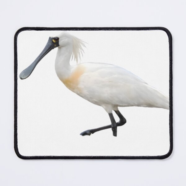 Item preview, Black-faced Spoonbill (Platalea minor) designed and sold by HOMETOWN86.