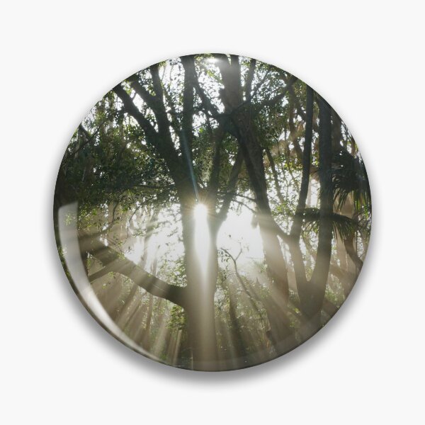 Item preview, Early Morning Sun Rays Shining Through the Trees designed and sold by jaynerushton.