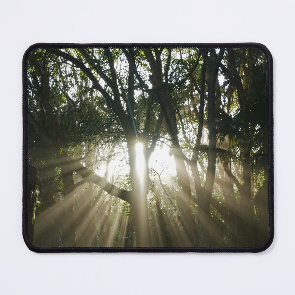 Item preview, Early Morning Sun Rays Shining Through the Trees designed and sold by jaynerushton.
