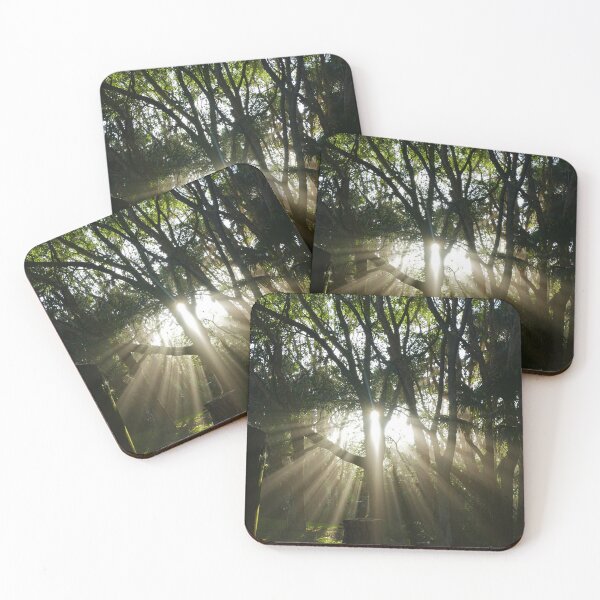 Item preview, Early Morning Sun Rays Shining Through the Trees designed and sold by jaynerushton.