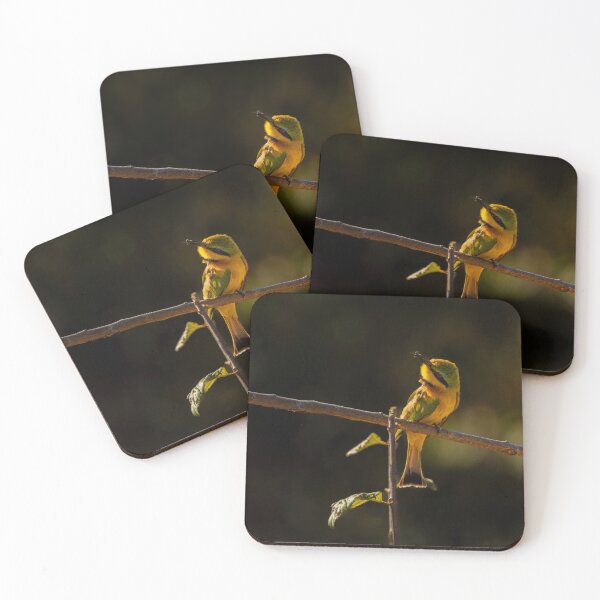 Item preview, Little Bee-eater with Prey - Dramatic Dark Background African Bird Photography, Kruger National Park designed and sold by Johnathan Robinson Photography.