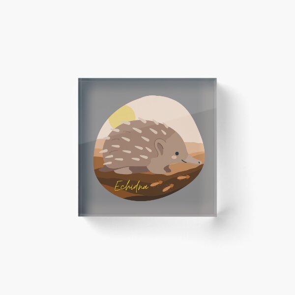 Item preview, Cute Echidna designed and sold by AnulaArt.