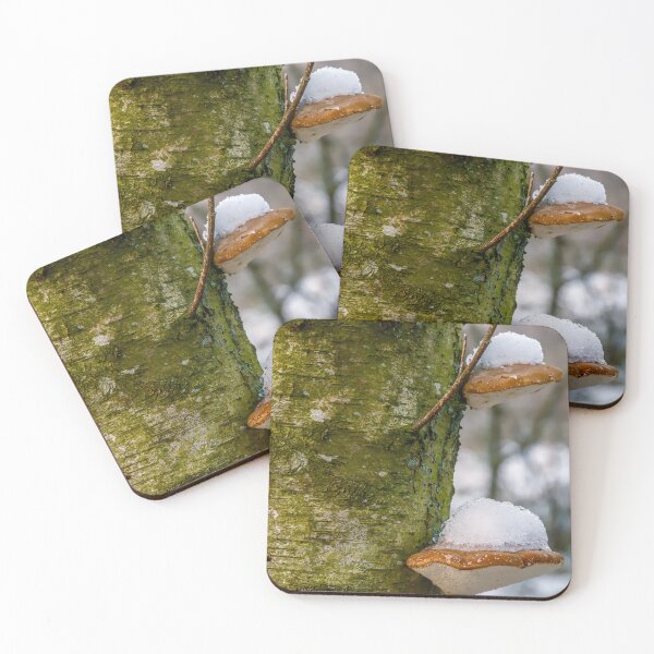 Item preview, Snow-Capped Tree Mushrooms in the Forest designed and sold by ShotsbyDesiree.