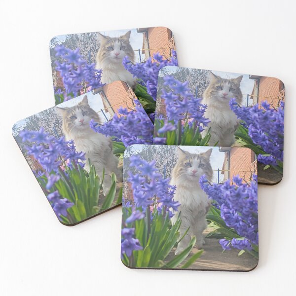 Item preview, Cat in Spring Flowers – Aesthetic Garden Cat Photo designed and sold by MB-CatPrints.