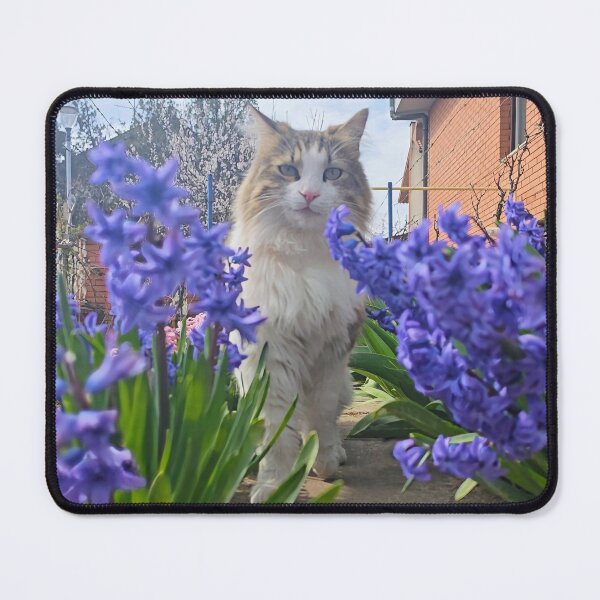 Item preview, Cat in Spring Flowers – Aesthetic Garden Cat Photo designed and sold by MB-CatPrints.