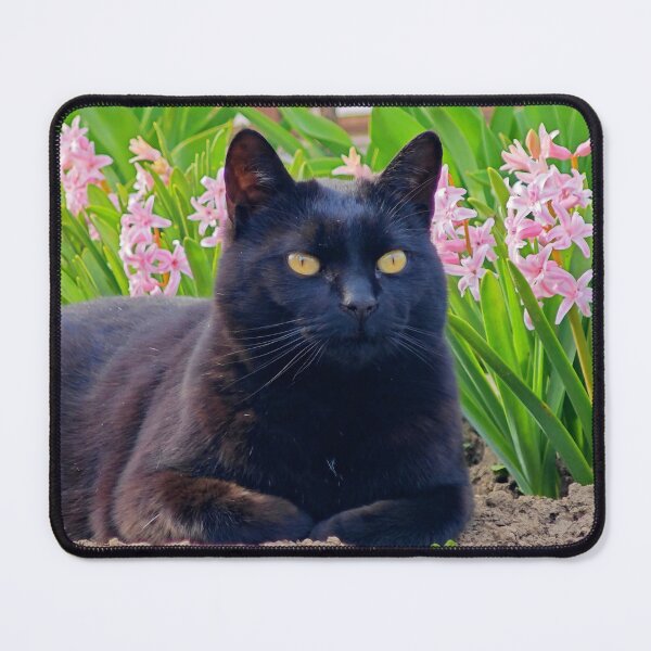 Item preview, Black Cat in Blooming Garden designed and sold by MB-CatPrints.