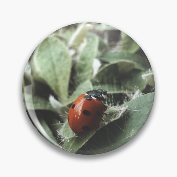 Item preview, Little Lucky One designed and sold by Sarah – Fine Art & Photography.