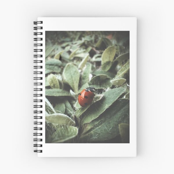 Item preview, Little Lucky One designed and sold by Sarah – Fine Art & Photography.