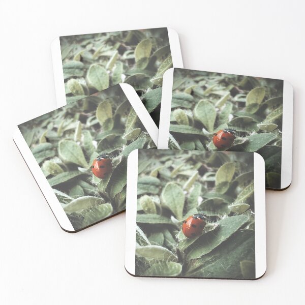 Item preview, Little Lucky One designed and sold by Sarah – Fine Art & Photography.