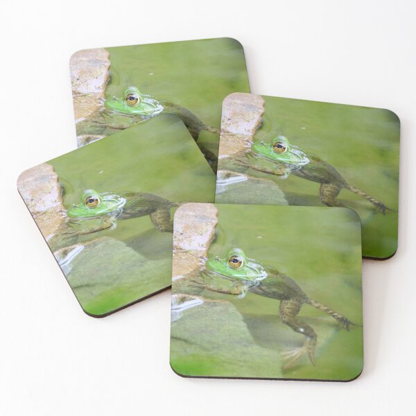 Item preview, Being Green-American Bullfrog  designed and sold by Naturally Still Photography.