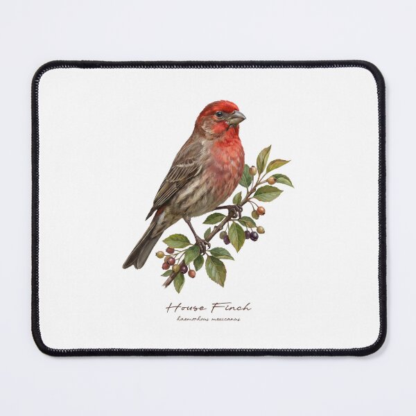 Item preview, House Finch on Fruity Branch designed and sold by Takeda-art.