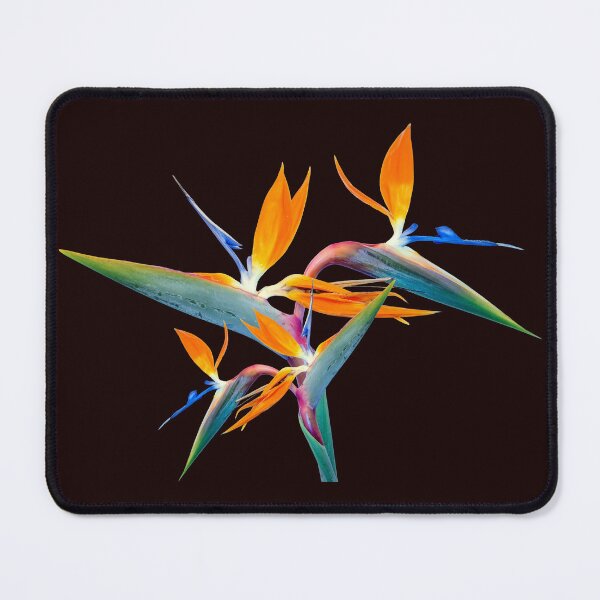 Item preview, Bird of Paradise Bloom designed and sold by BUTTER7FLY.