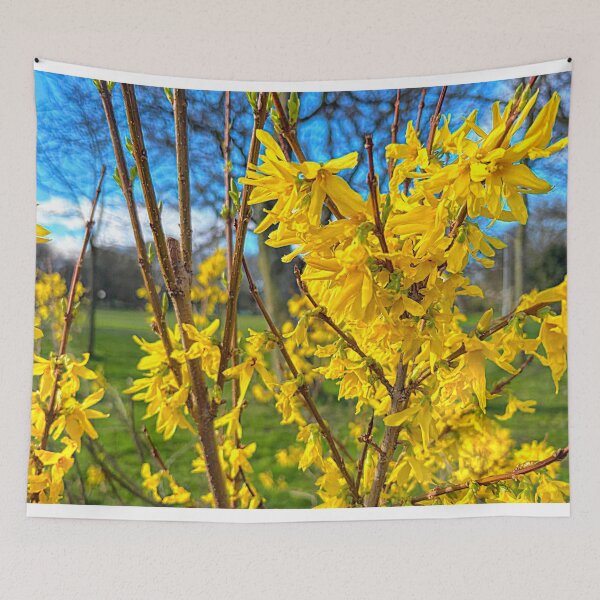 Item preview, Vibrant Forsythia Flowers in Spring Sunshine designed and sold by Violaman.