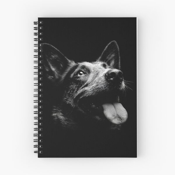 Item preview, Dog looks up in dark setting designed and sold by anytka.