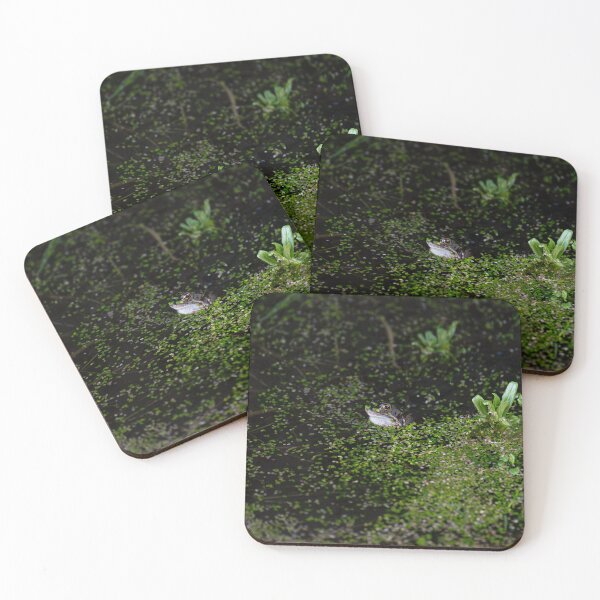 Item preview, Common frog - Rana temporaria designed and sold by Stephen Jarman.