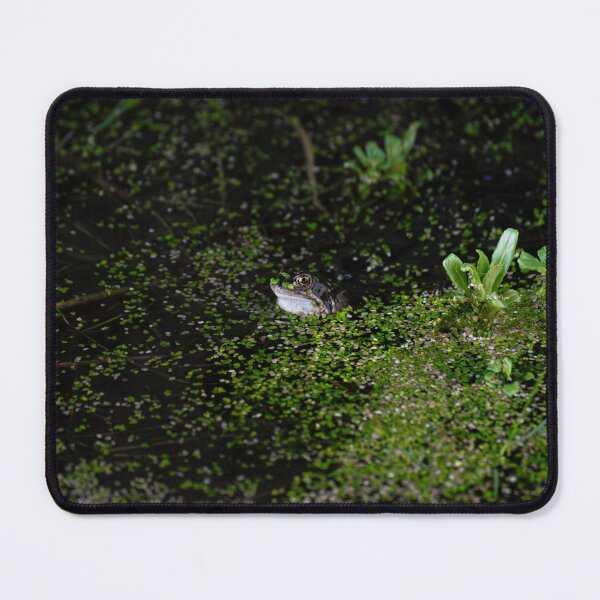 Item preview, Common frog - Rana temporaria designed and sold by Stephen Jarman.