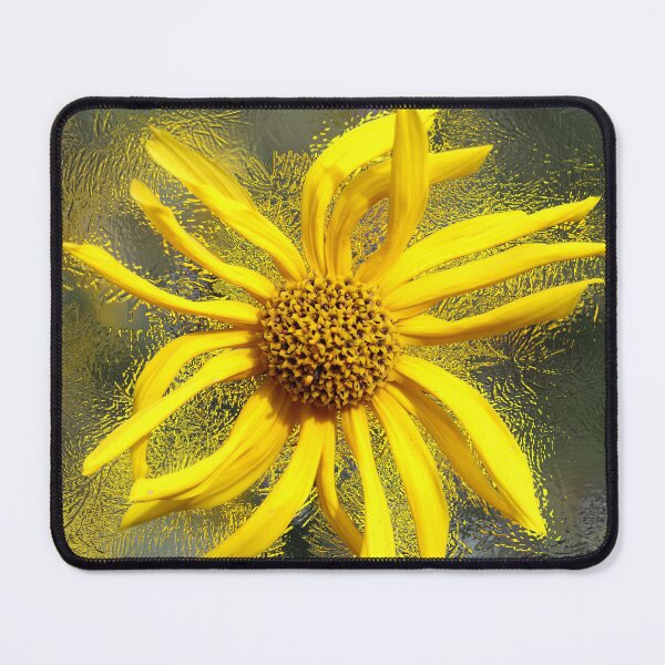 Item preview, Ashy Sunflower Plant designed and sold by BostonArcImage.