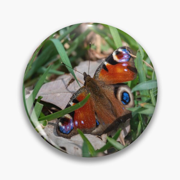 Item preview, Peacock butterfly (Aglais io) designed and sold by Stephen Jarman.