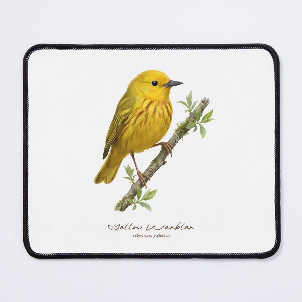 Item preview, American Yellow Warbler on Branch  designed and sold by Takeda-art.