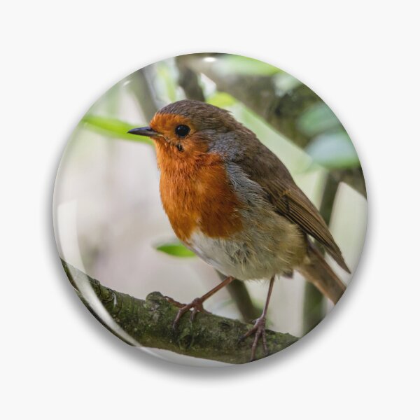 Item preview, Robin on tree branch  designed and sold by Stephen Jarman.