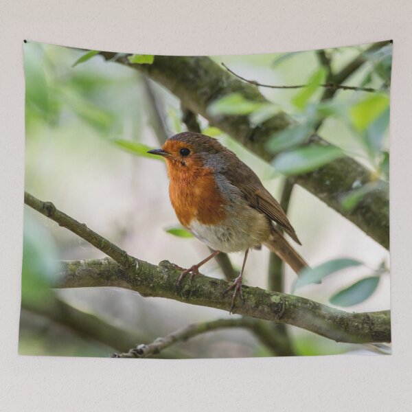 Item preview, Robin on tree branch  designed and sold by Stephen Jarman.
