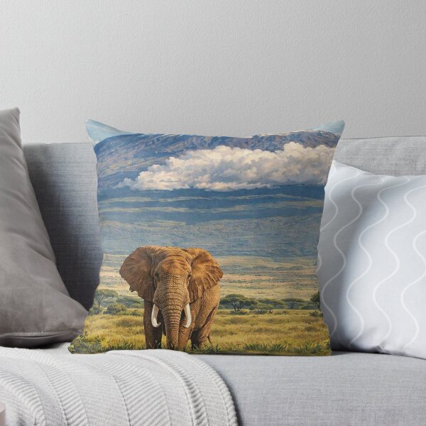 Item preview, Visit Amboseli National Park designed and sold by maximinano100k.