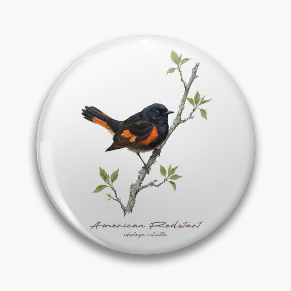 Item preview, American Redstart on Rustic Branch designed and sold by Takeda-art.