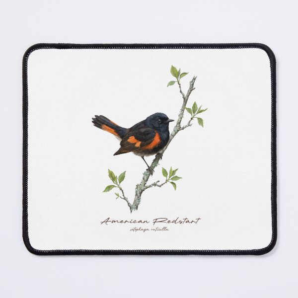 Item preview, American Redstart on Rustic Branch designed and sold by Takeda-art.