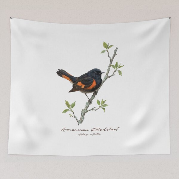 Item preview, American Redstart on Rustic Branch designed and sold by Takeda-art.