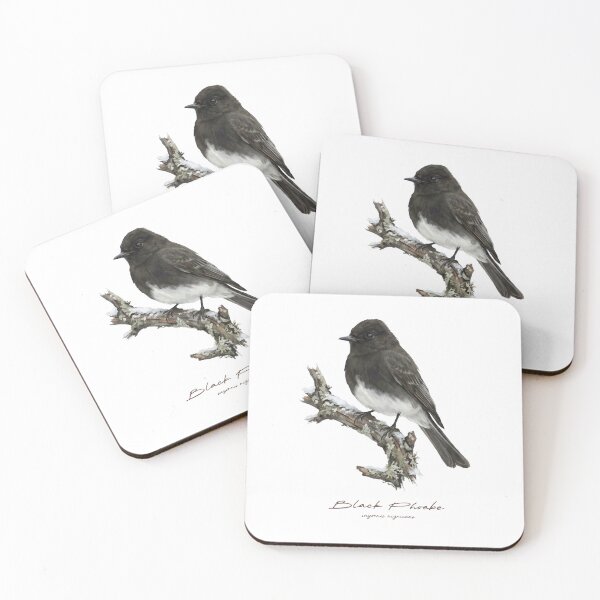 Item preview, Black Phoebe in Winter designed and sold by Takeda-art.