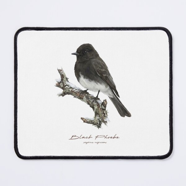 Item preview, Black Phoebe in Winter designed and sold by Takeda-art.