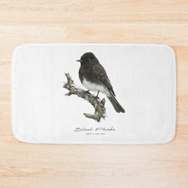 Item preview, Black Phoebe in Winter designed and sold by Takeda-art.