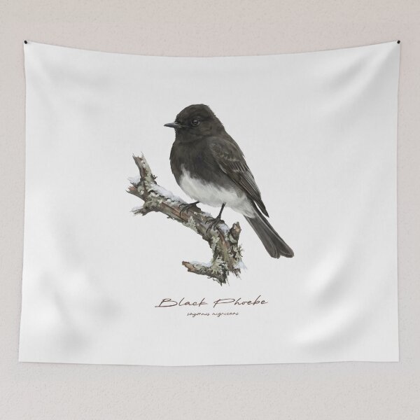 Item preview, Black Phoebe in Winter designed and sold by Takeda-art.