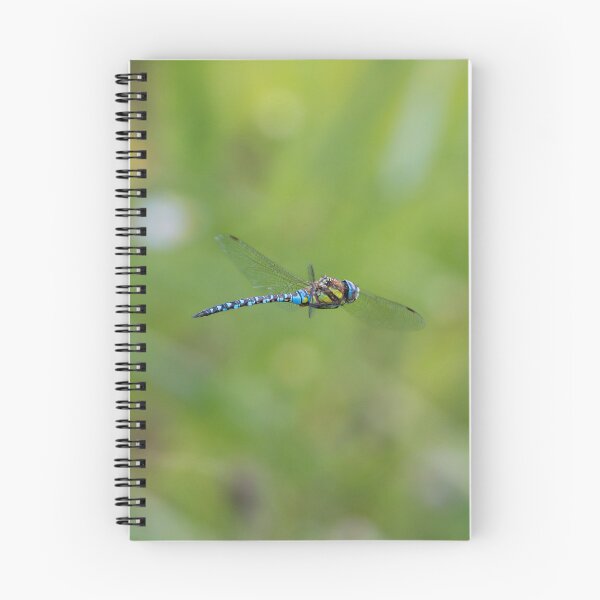 Item preview, Dragonfly designed and sold by Stephen Jarman.