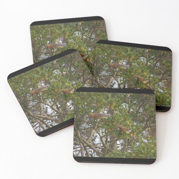 Item preview, cedar waxwings in a holly tree designed and sold by Smiley Photography And Creations.