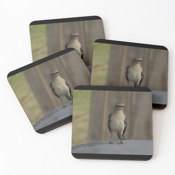 Item preview, mocking bird in the wild designed and sold by Smiley Photography And Creations.