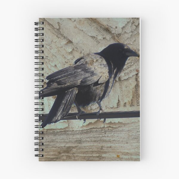 Item preview, Crow on Paper designed and sold by Robert Ball.