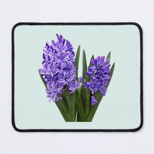 Item preview, Purple Hyacinth Duo designed and sold by Susan Savad.