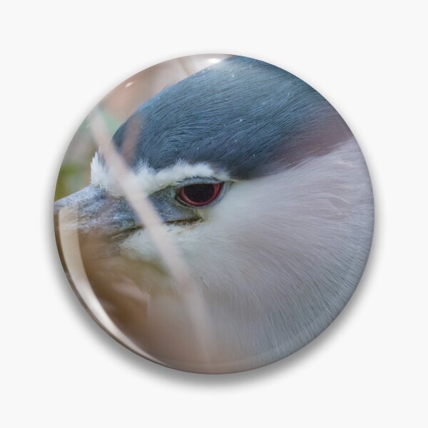 Item preview, Black Crowned Night Heron designed and sold by LaurenTucker.
