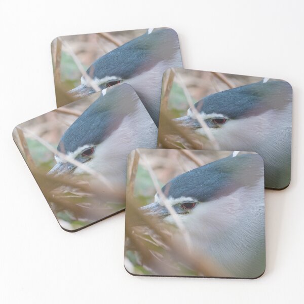 Item preview, Black Crowned Night Heron designed and sold by LaurenTucker.