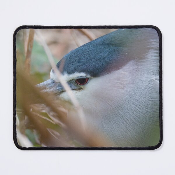 Item preview, Black Crowned Night Heron designed and sold by LaurenTucker.