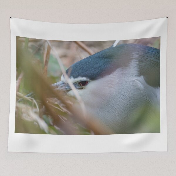 Item preview, Black Crowned Night Heron designed and sold by LaurenTucker.