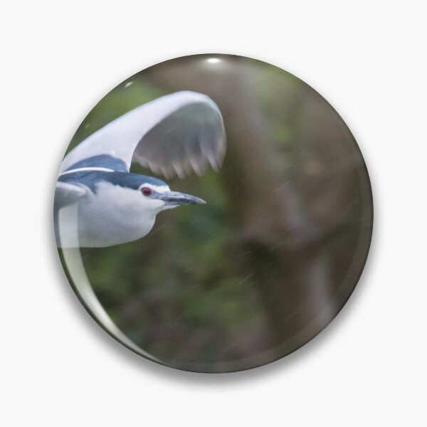 Item preview, Black Crowned Night Heron designed and sold by LaurenTucker.