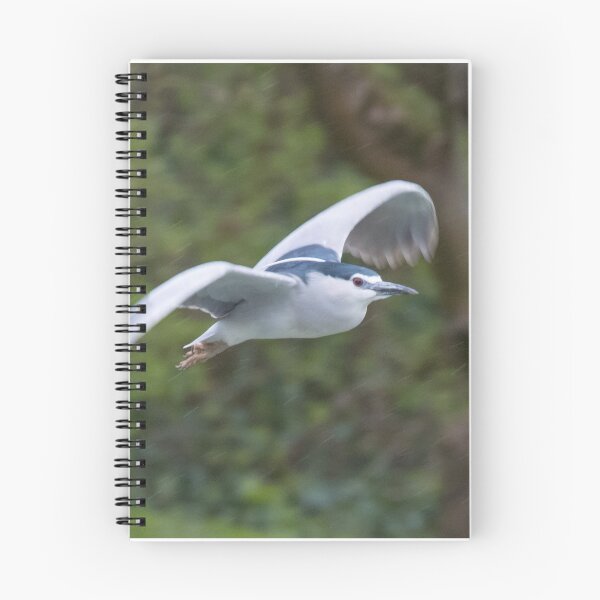 Item preview, Black Crowned Night Heron designed and sold by LaurenTucker.