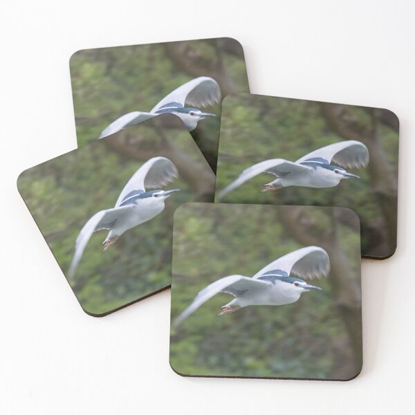 Item preview, Black Crowned Night Heron designed and sold by LaurenTucker.