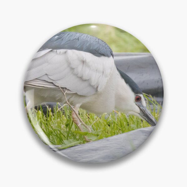 Item preview, Black Crowned Night Heron designed and sold by LaurenTucker.