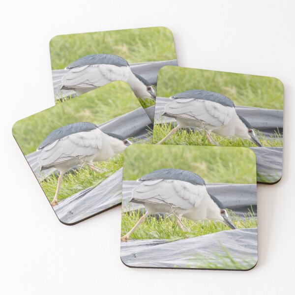 Item preview, Black Crowned Night Heron designed and sold by LaurenTucker.