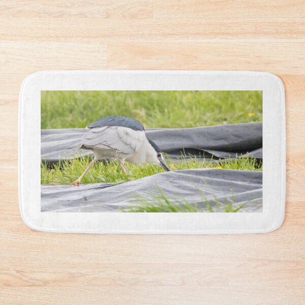 Item preview, Black Crowned Night Heron designed and sold by LaurenTucker.