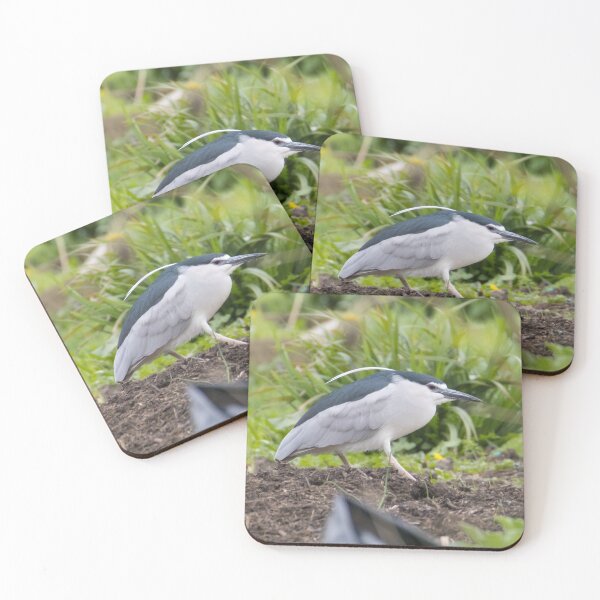 Item preview, Black Crowned Night Heron designed and sold by LaurenTucker.