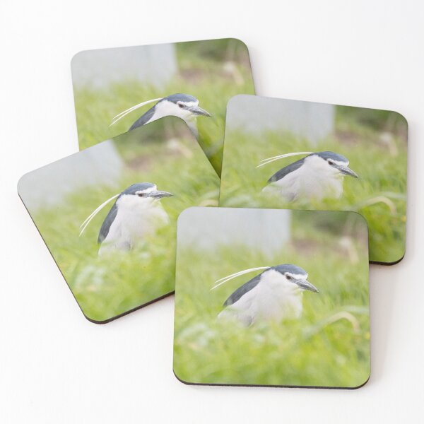 Item preview, Black Crowned Night Heron designed and sold by LaurenTucker.